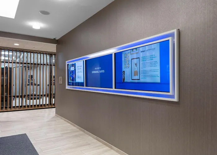 Springhill Suites By Marriott Durham City View
