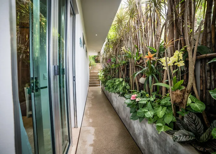 Anjali Casa Divina Hotel Sayulita