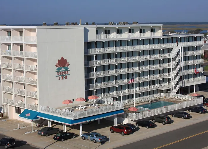 Lotus Inn