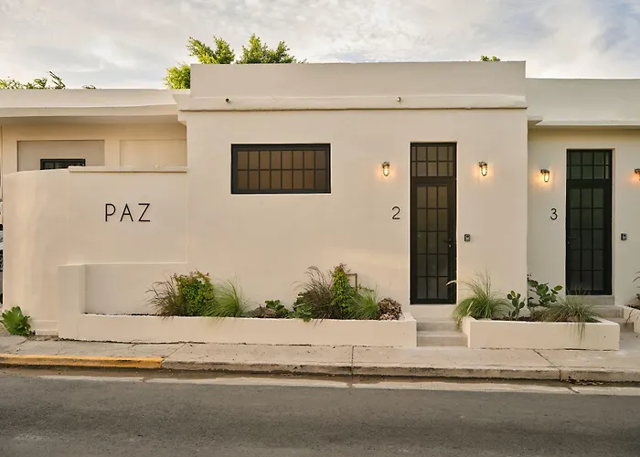 Paz By Dw