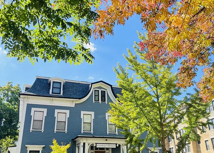 Ginkgo House On Harvard Cambridge