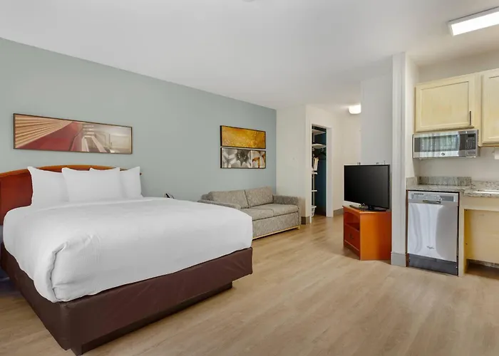 Mainstay Suites Tampa Moffitt-Usf Temple Terrace
