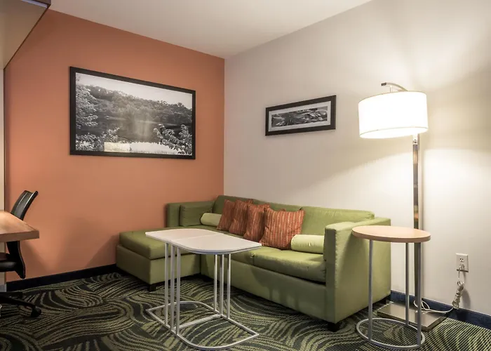 Springhill Suites Statesboro University Area