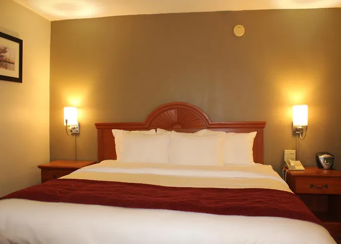 Comfort Inn University Center Fairfax