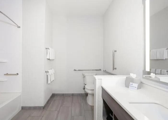 Holiday Inn Express & Suites Austin South By Ihg