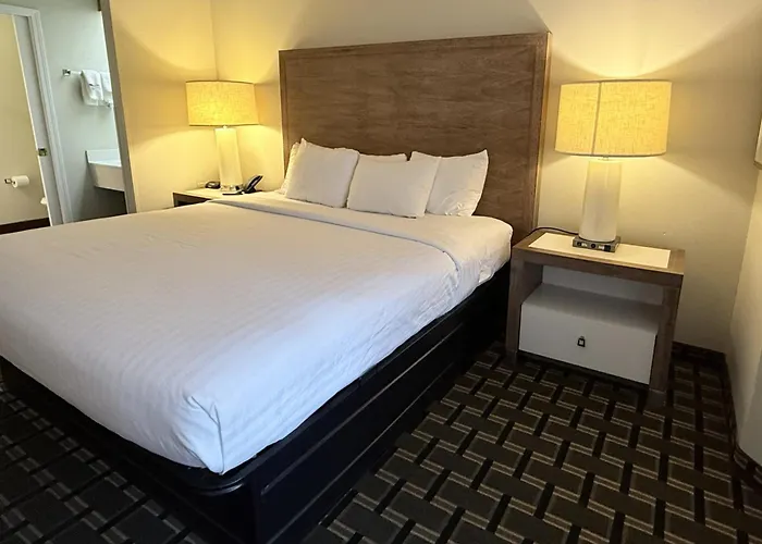 Edn Hotel
