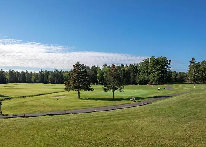 Best Western University Inn Canton