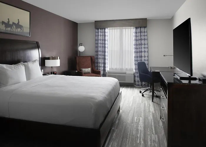 Hilton Garden Inn Denison/Sherman/At Texoma Event Center