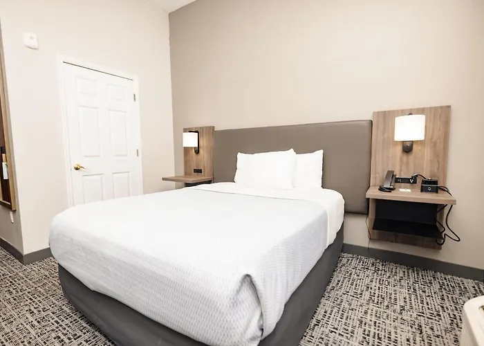 La Quinta By Wyndham Tampa Central Carrollwood Village