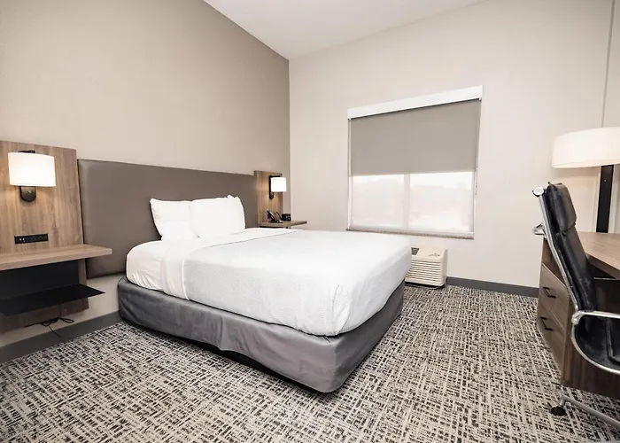 La Quinta By Wyndham Tampa Central Carrollwood Village