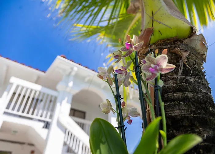 Palm Breeze Hotel Lake Worth Beach