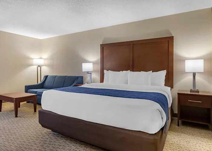 Comfort Inn Near Greenfield Village Dearborn
