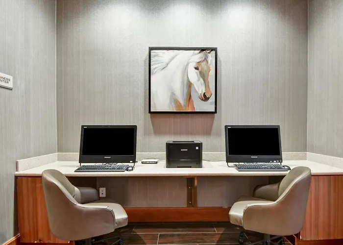 Springhill Suites Denver At Anschutz Medical Campus Aurora