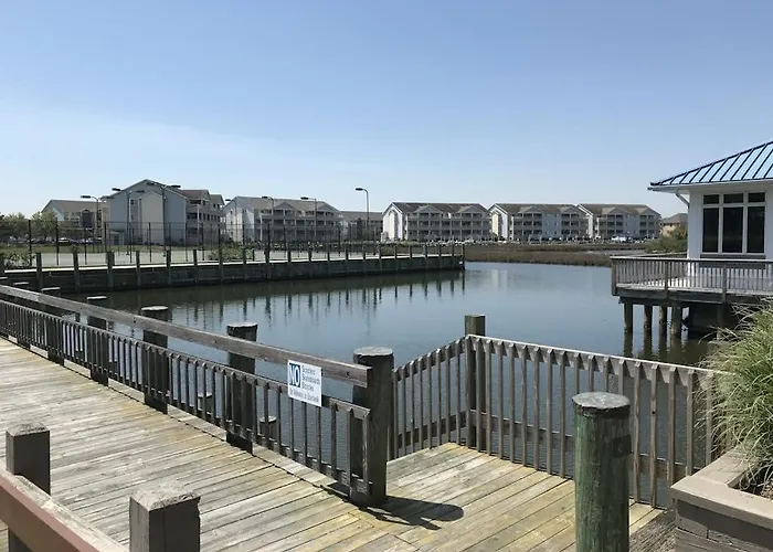 Heron Haven