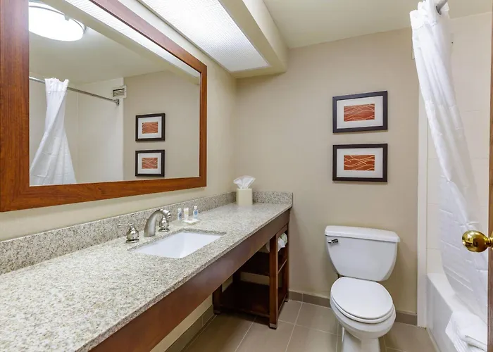Comfort Inn Aikens Center Martinsburg