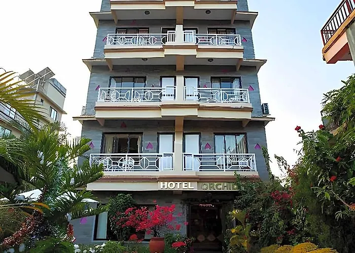 Hotel Orchid