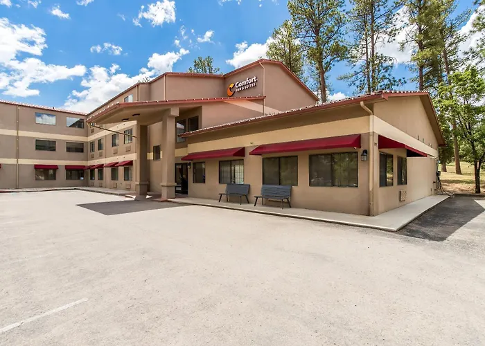 Comfort Inn & Suites Midtown