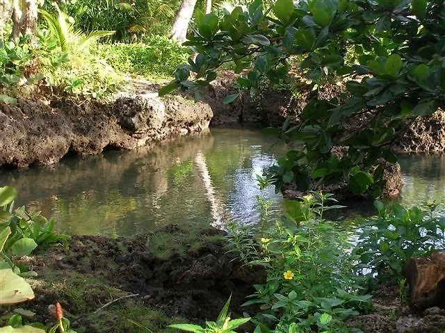 Piscina Natural On The Sea Cahuita