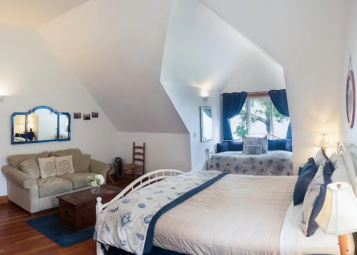 Lost Whale Inn Trinidad