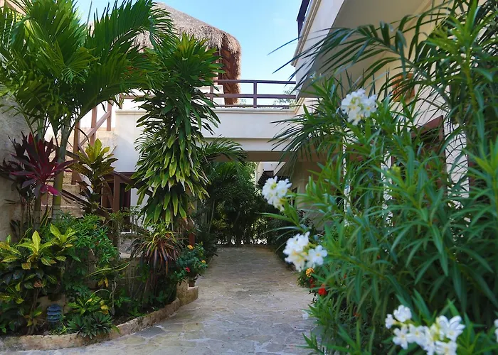 Xibalba Hotel Dive Center Tulum