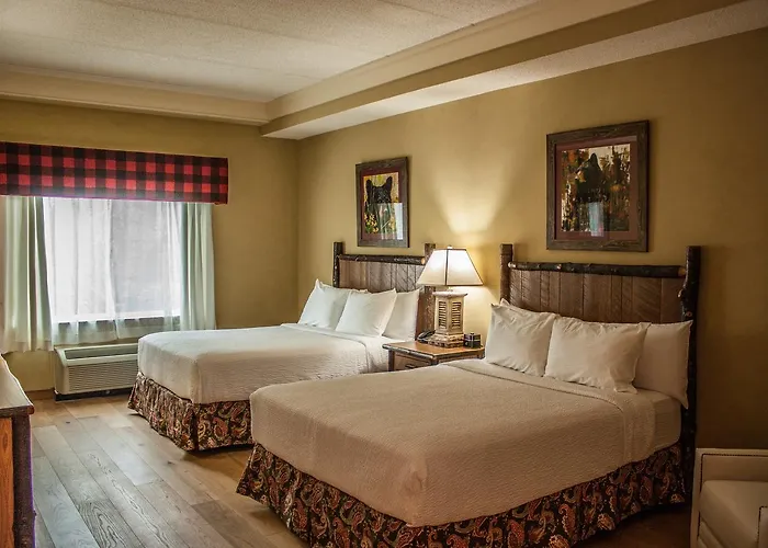 The Appy Lodge