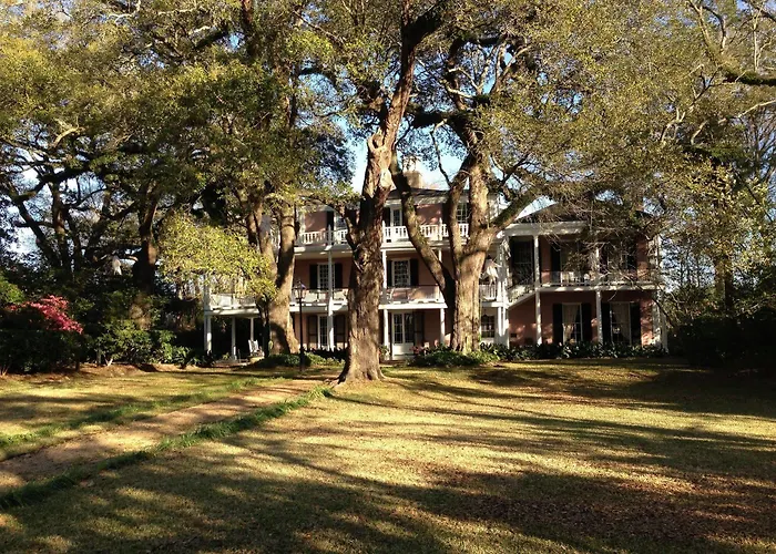 The Elms Bed And Breakfast