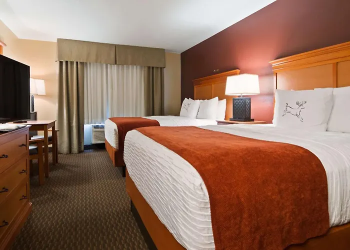 Best Western Plus Deer Park Hotel And Suites