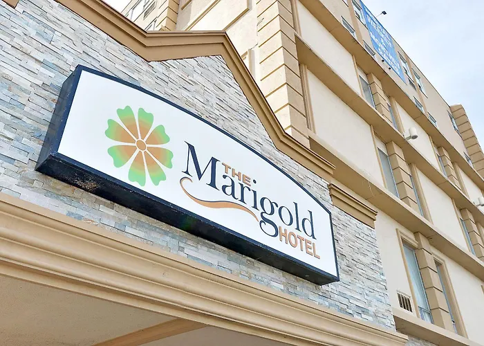 The Marigold Hotel