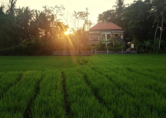 Demank Hidden Guesthouse