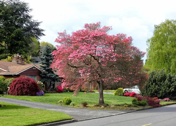 Lake Hills Guesthouse Bellevue