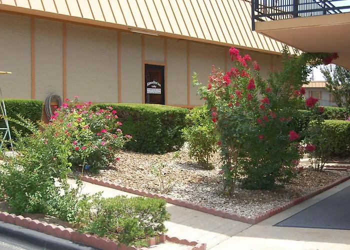 Executive Inn And Suites Springdale