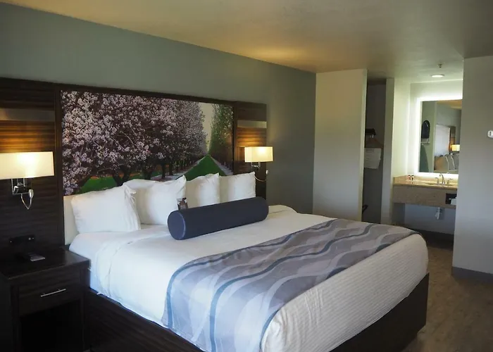 Baymont By Wyndham Yuba City