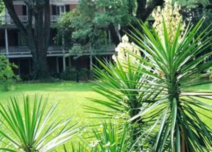 The Elms Bed And Breakfast