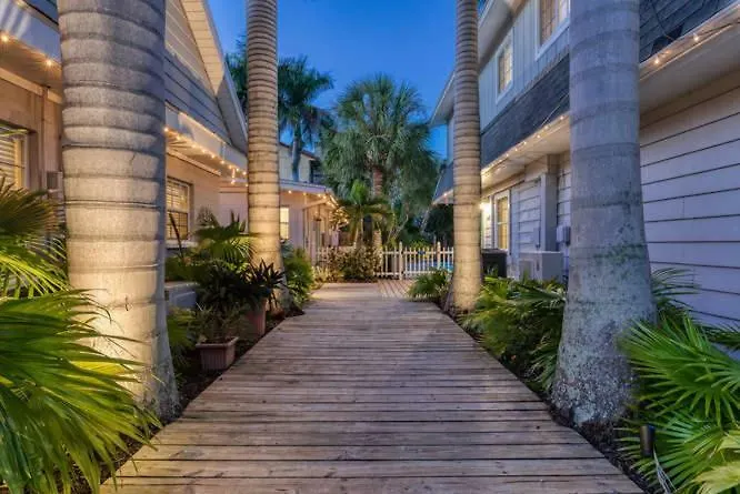 Blue Sage