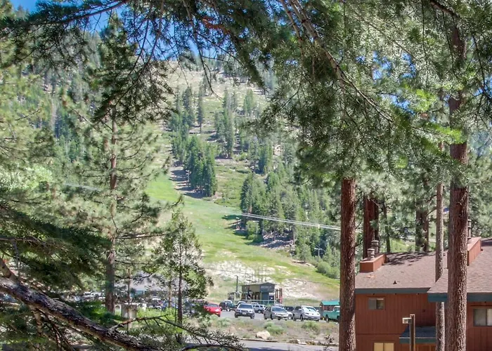 Saddle Road Condo