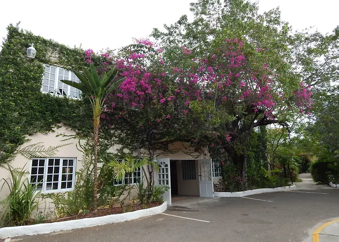 Mangos Jamaica Adults Only Hotel Falmouth