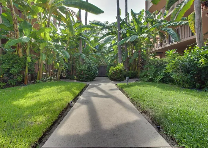 Beachview Condominiums: Palm Tree Pathway South Padre Island