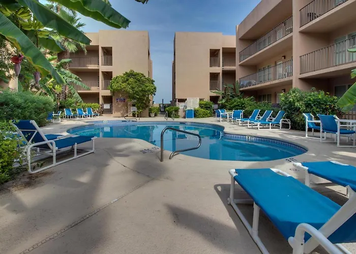 Beachview Condominiums: Palm Tree Pathway South Padre Island