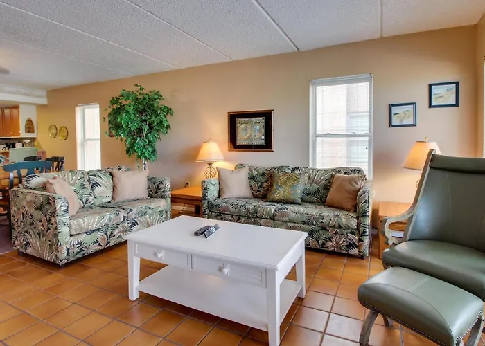 Beachview Condominiums: Palm Tree Pathway South Padre Island