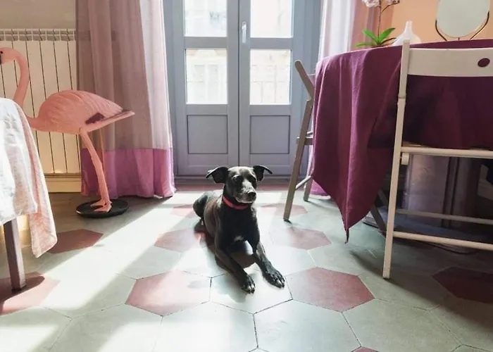 Casa Dani&Swing Bed&Books Bed & Breakfast Turin