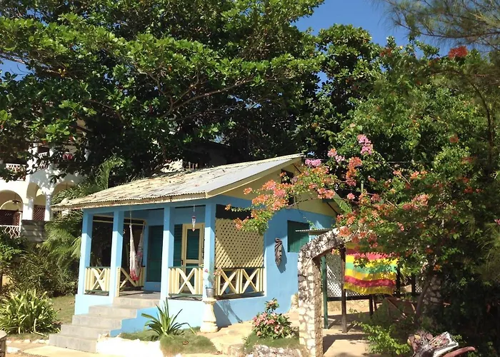 Banana Shout Resort