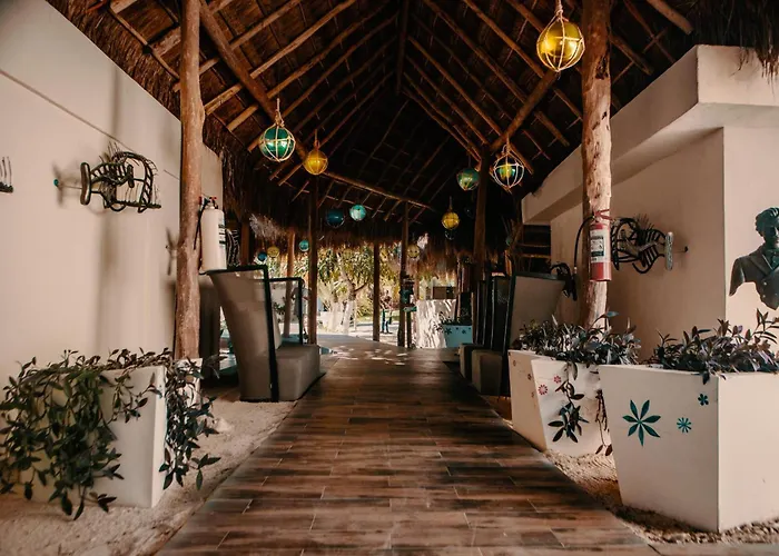 Hotel Paradise Suites Isla Mujeres