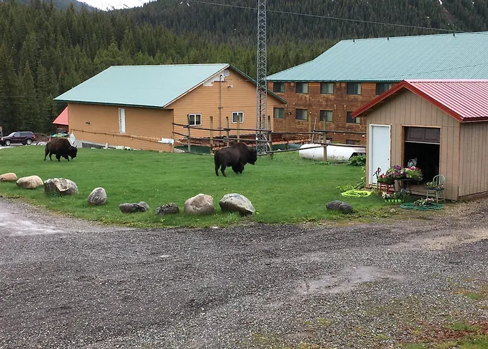Antlers Lodge Cooke City